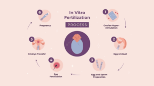 ivf and egg donation