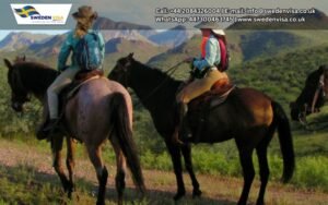 Horseback Riding