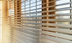 Blinds Sunshine Coast