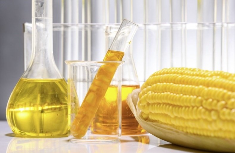 Hvo Biodiesel
