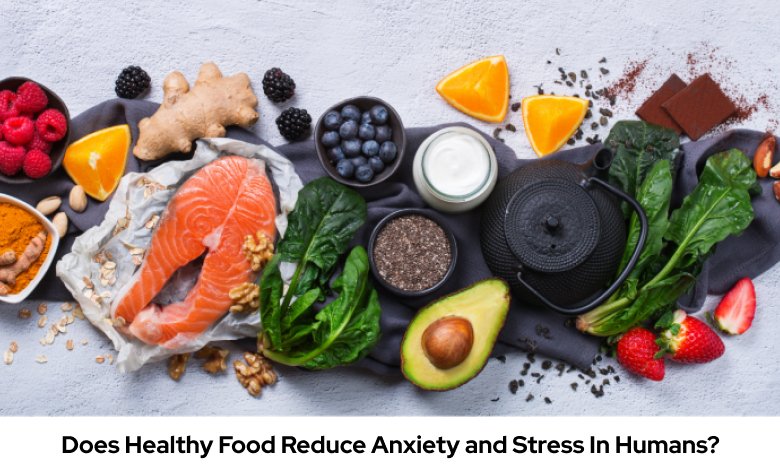 Does Healthy Food Reduce Anxiety and Stress In Humans?