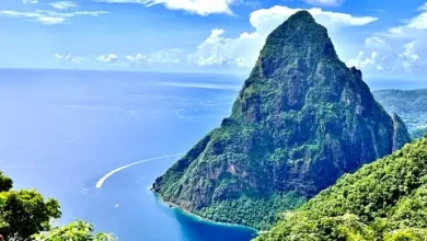 St. Lucia Citizenship