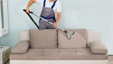 What to Expect During a Professional Sofa Cleaning in Arndell Park