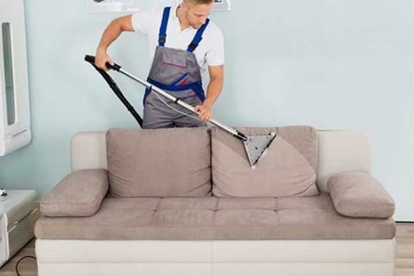 What to Expect During a Professional Sofa Cleaning in Arndell Park