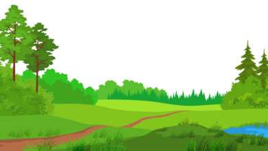 Cartoon Illustration