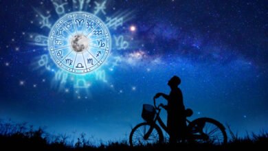 best astrologer in india for consultation