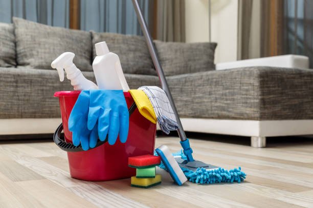 home cleaning service in vadodara.