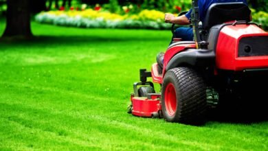 tractor services for cutting grass