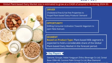 Plant-based Dairy Market