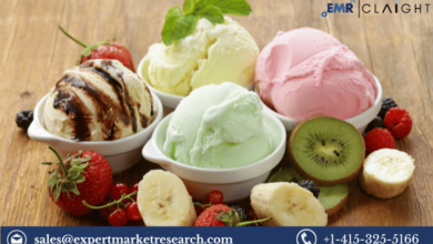 Dairy-free Ice Creams Market Size