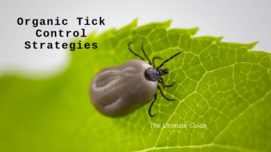 Organic Tick Control