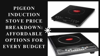 Pigeon Induction Stove Price Breakdown Affordable Options for Every Budget