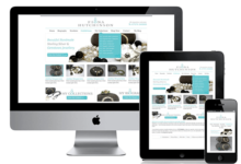 eCommerce website design services