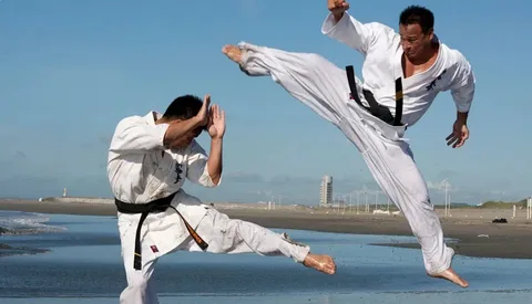 Unleash Your Inner Warrior: A Guide to Dubai's Martial Arts Scene