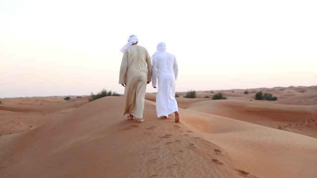 Desert Safari Dubai Deals