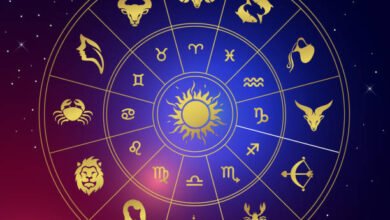 Best business astrologer in ahmedabad