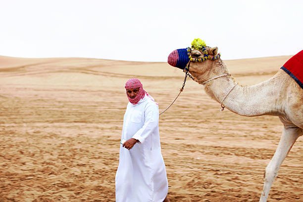 desert camel safari