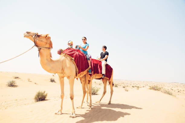 Morning Desert Safari