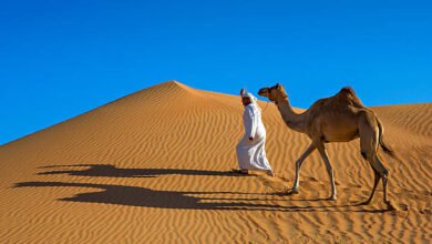 dubai desert tour