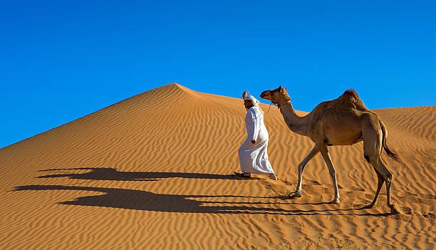 safari dubai