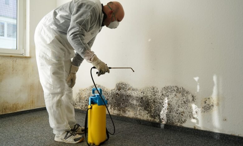 mold remediation pros