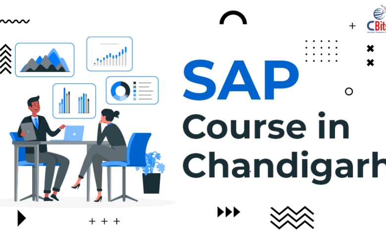 SAP Fundamentals for  Strong Foundation