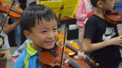 violin classes