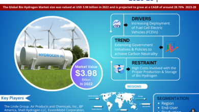 Bio Hydrogen Market