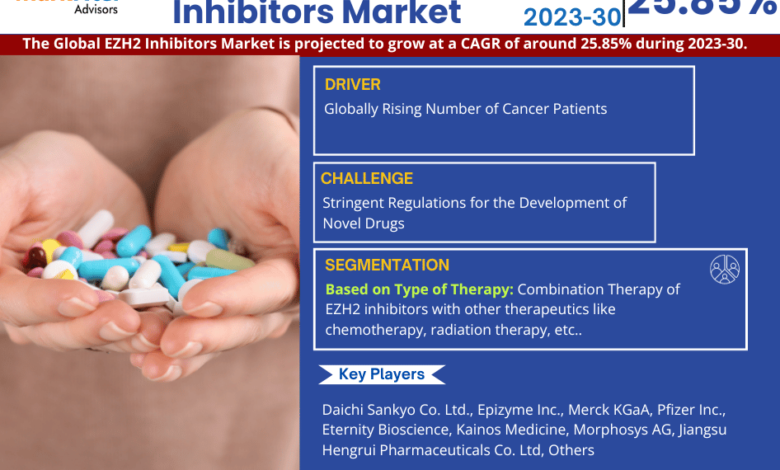 EZH2 Inhibitors Market