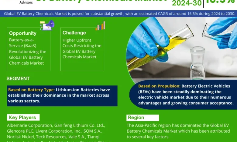 Global EV Battery Chemicals Market