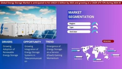 Global Energy Storage Market