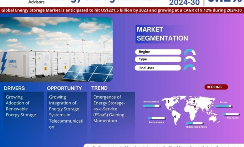 Global Energy Storage Market