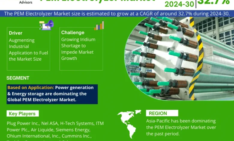 Global PEM Electrolyzer Market