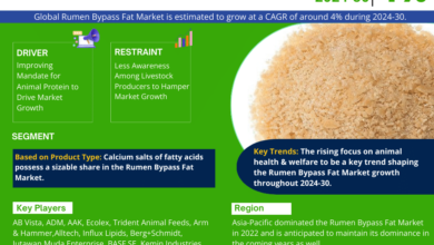 Global Rumen Bypass Fat Market