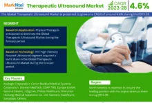 Global Therapeutic Ultrasound Market