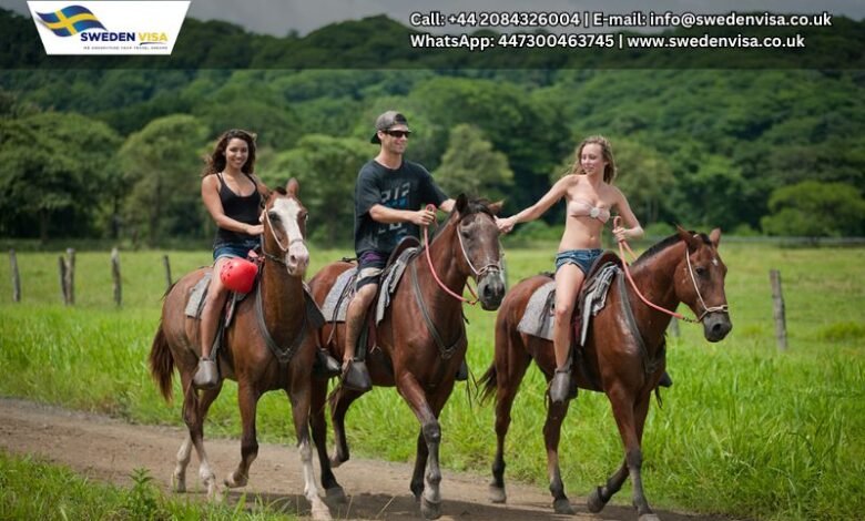 Horseback Riding in Sweden Countryside