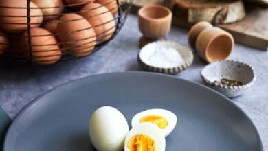 The Importance of Today's Egg Rate In Our Daily Lives