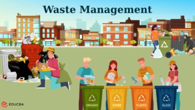 Waste Management