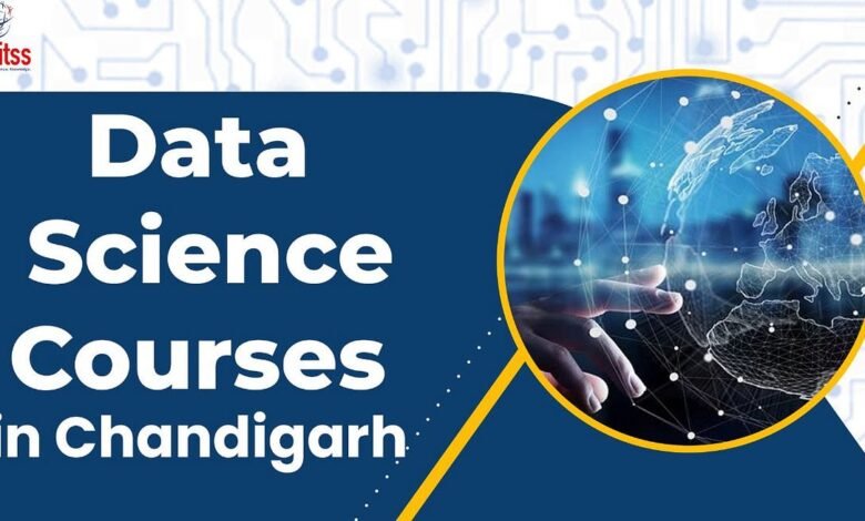 What is the eligibility criteria for a data science course?