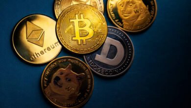 crypto trading expert