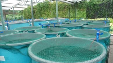 Sustainable Aquaculture