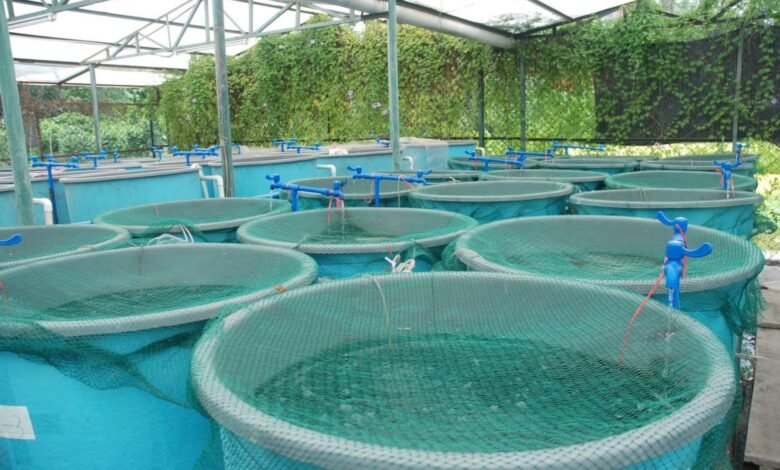 Sustainable Aquaculture