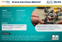 Drone Services Market