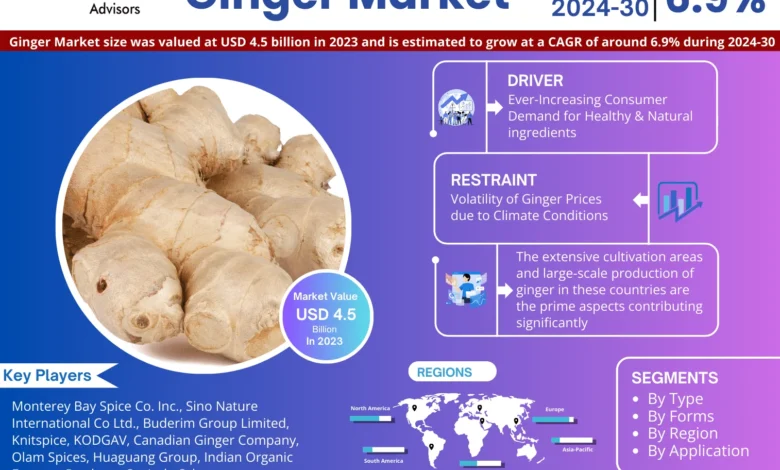 Ginger Market
