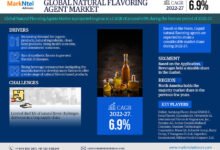 Global Natural Flavoring Agent Market