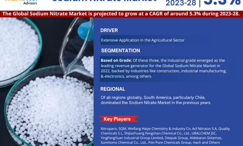 Global Sodium Nitrate Market