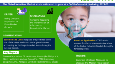 Nebulizer Market