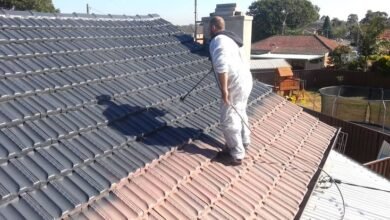 Tile-Roof-Painting-Services
