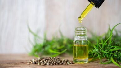 Exploring CBD Benefits: Oil for Dogs in Canada
