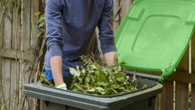 Green Waste Removal Melbourne